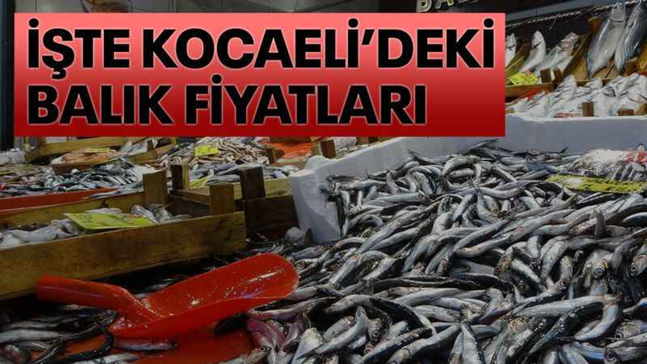 İşte Kocaeli’deki balık fiyatları